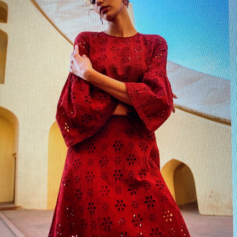 NWT Beyond by Vera 1891 Victoria Embroidered dress in Size Small.